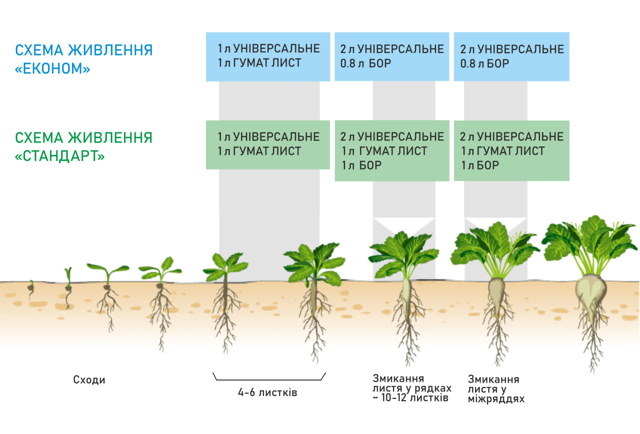 Схема живлення Цукровий буряк