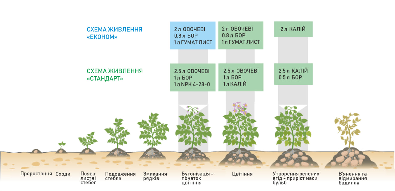 Схема живлення Картопля